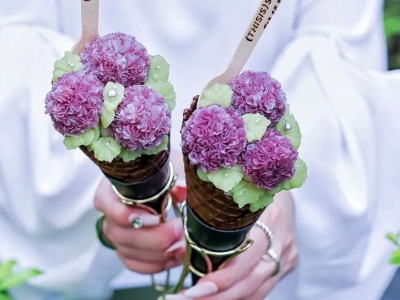 アイスクリームはとても美しいので、日本で食べるのが耐えられません